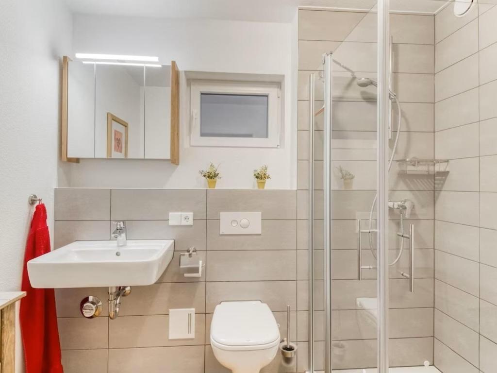 Elegant Appartment فرايبورغ المظهر الخارجي الصورة